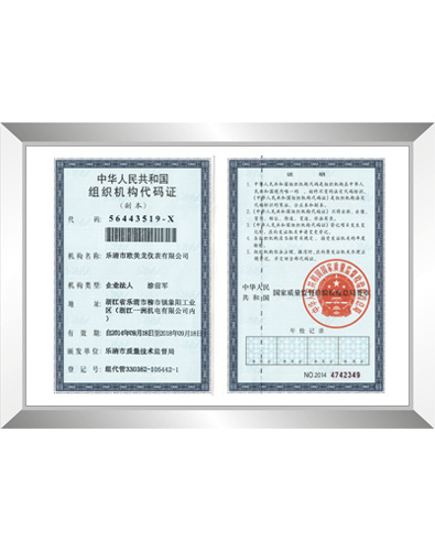 Organization code certificate