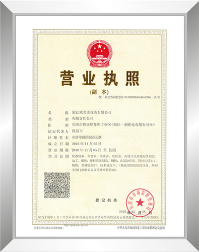 5 card one one copy of business license